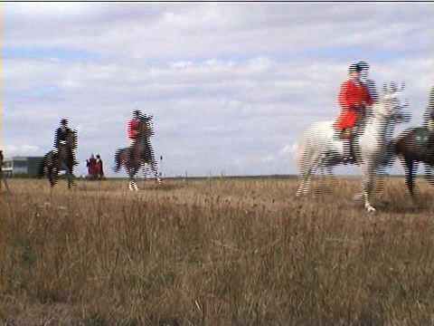 0 Cacería en Vogelsberg