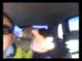 videos de moto 0033~1