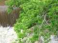 WI Flooding Photos - Mequon to Saukville WI Flooding Photos - Mequon to Saukville