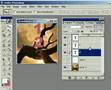Photo shop layers beginner