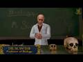 Bully / Canis Canem Edit - Trailer #3