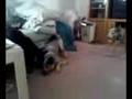Bandit2