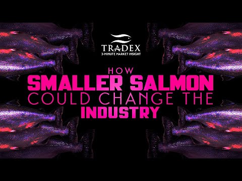 3MMI - How Smaller Salmon Could Change the Industry