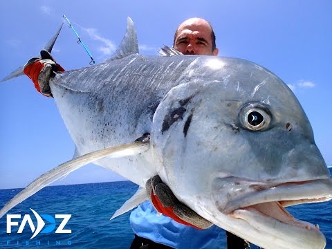 Jigging - Dogtooth Tuna, GT - Jigging and popping action caught on GoPro Hero 2 and 3.