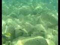 Trip to Lake Malawi 2008