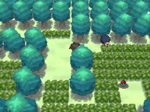 pokemon black pokemon black