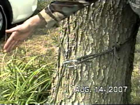 Video Image