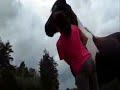 Comment perdre son poney ^^ NOTRE PAGE FACEBOOK : www.facebook.com