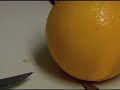 Stop Motion Animation: Death of An Orange Stop Motion Animation: Death of An Orange