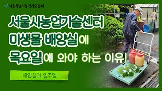 서울시농업기술센터 미생물배양실의 일주일 썸네일