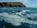 ben, will and myself spearfishing off lands end spotted this shark feeding.