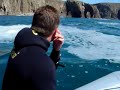 ben, will and myself spearfishing off lands end spotted this shark feeding.