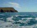 Basking Shark - Lands End