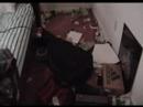 Spring Cleaning