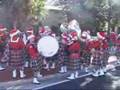 Dunedin Christmas Parade