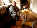 US Soldier Reunites with Dog