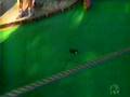 MiniGolf Featured on NBC's Bob Faw Report