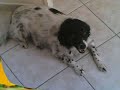 lucyna lucyna