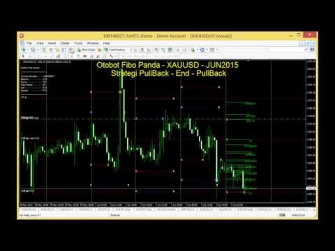 Teknik forex fibo panda