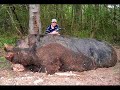 cryptozoology pt 1