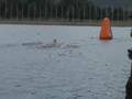 Morgaine swimming