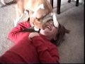 OMG DOGGIES *special effects test*
