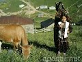 ?alpazar? ?ALPAZARI A?asar A?ASAR
