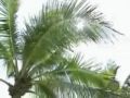 Video Clip: Lindsay on the beach