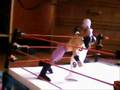 wwe figuras