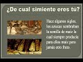 Watch 'YouTube - ¿Has nacido de a simiente pura o de la simiente corrupta?'