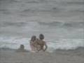 Enjoying the Beach With Beach Bums