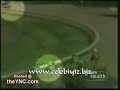 انا سبق وشفت حوادث سيارات وجه بوجه .. لكن خيول ؟؟