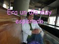 SOFIA FERNANDA REYES COLLAO.wmv