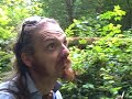 DriveAbout 113 - Redwood National Park, CA