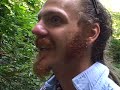DriveAbout 113 - Redwood National Park, CA