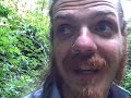 DriveAbout 113 - Redwood National Park, CA