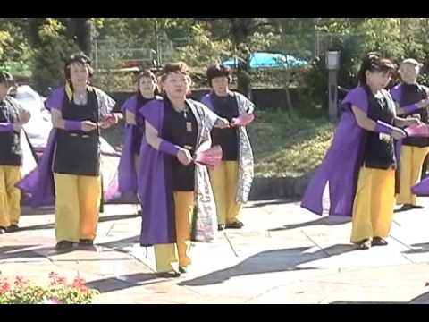 北本よさこい2009 北桜連