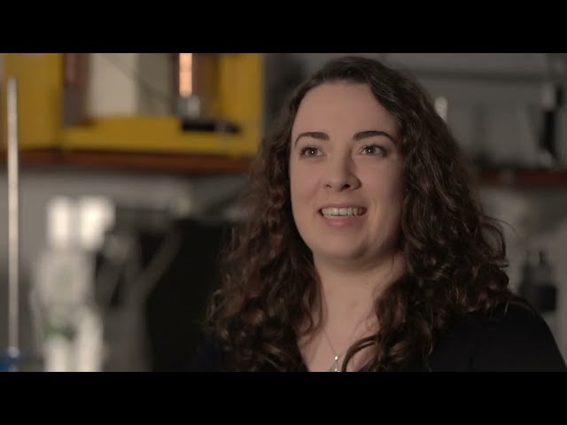 Bachelor of Science Physics - GY320