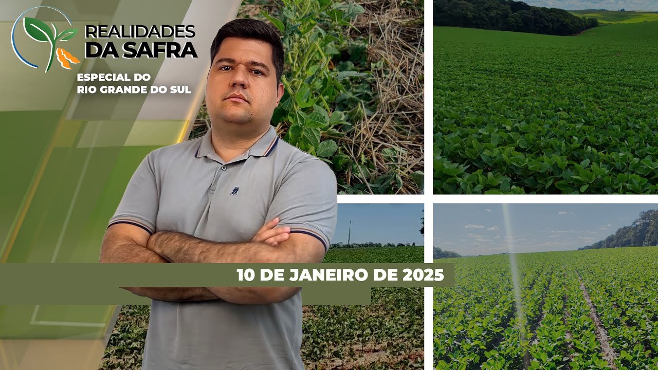 Rio Grande do Sul já tem perdas consolidadas na safra de soja diante de clima adverso