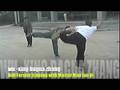 videos de wuxing pt 1