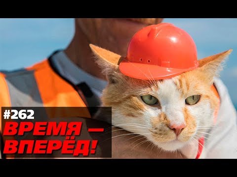 Вот как Крымский мост повлиял на Россию. Кто-то ждал другого? (Время-вперёд! #262)