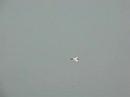 Mini Eurofighter RC Mini Eurofighter RC