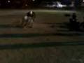 videos de Entrenando en Delfines (AFAIM)
