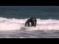 Surfhouse 2005 Teil 4Surfcamp Spain.mp4