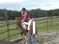 débourrage d'un jeune cheval