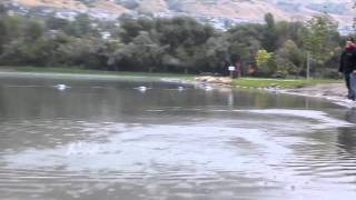 How Waboba Balls Bounce on Water