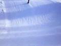 snowbaorden met tijn jasper en maarten