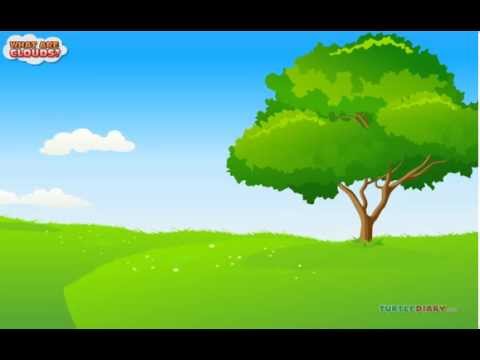 6 Types of Clouds and How They're Formed! *Science for Kids*