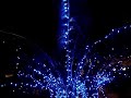 �rvore  enfeitada azul de Natal do Anhangaba�