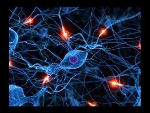 how to learn algebra